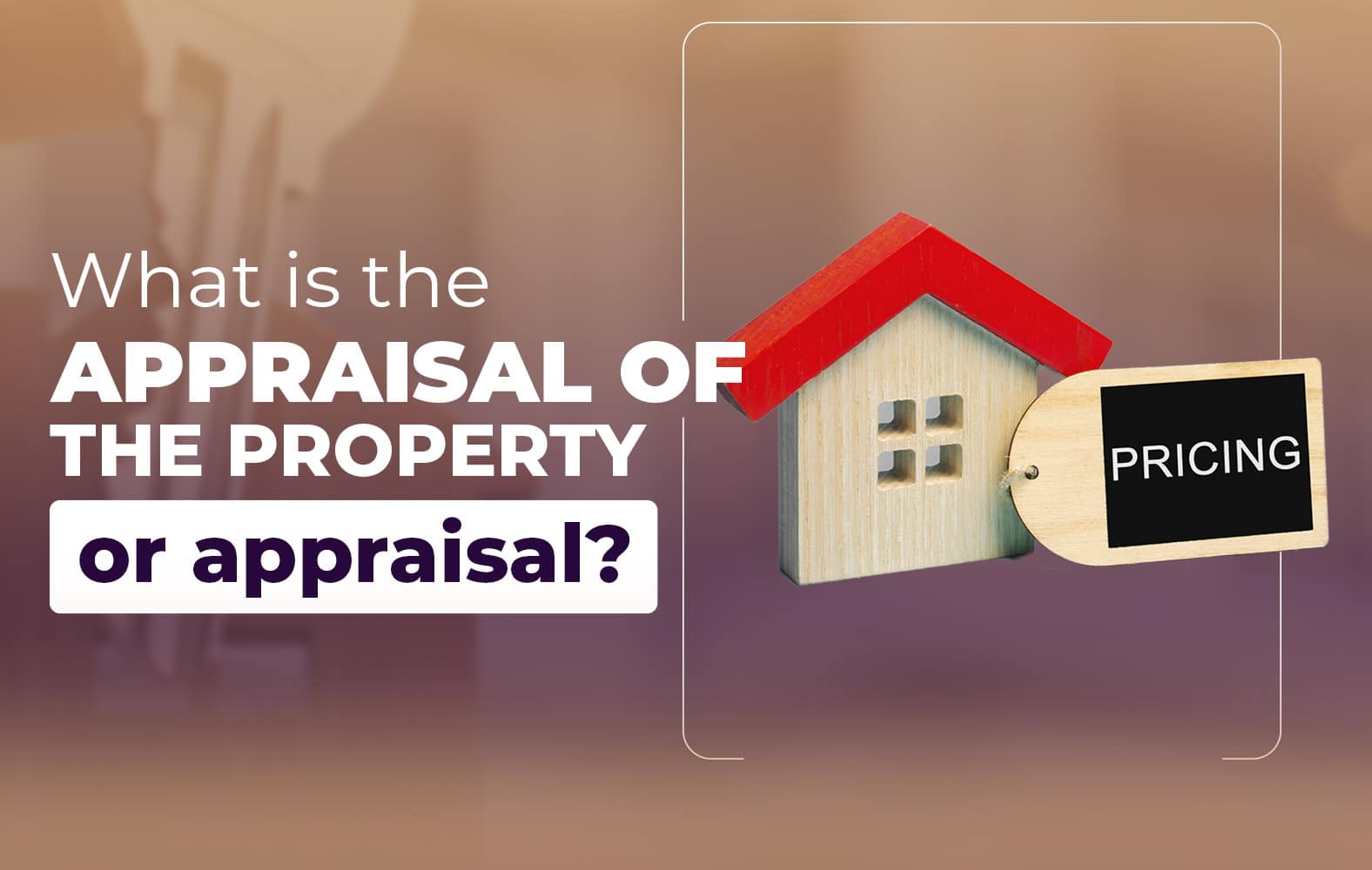 Do you know what appraisal property appraisal is?